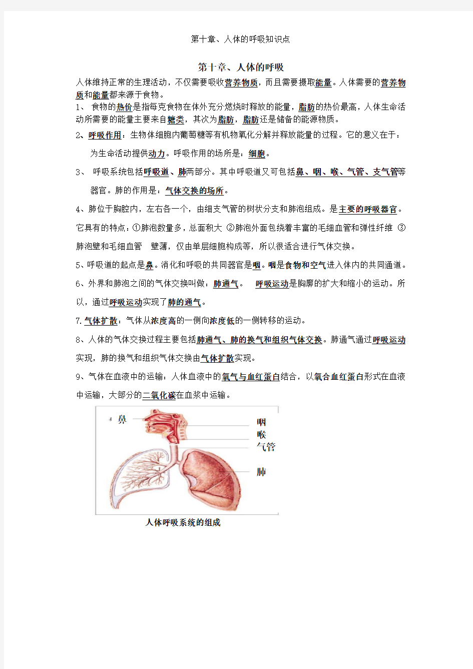 第十章、人体的呼吸知识点