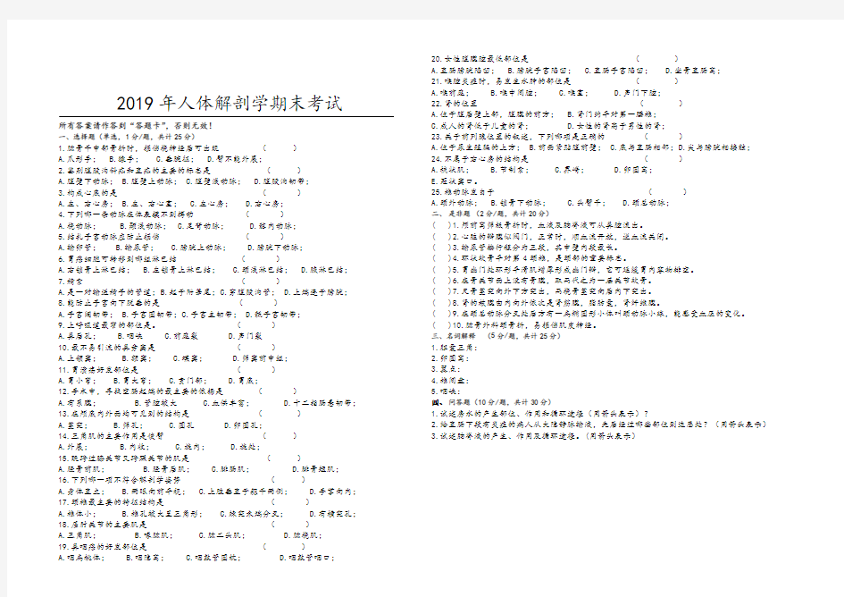 2019年人体解剖学期末考试