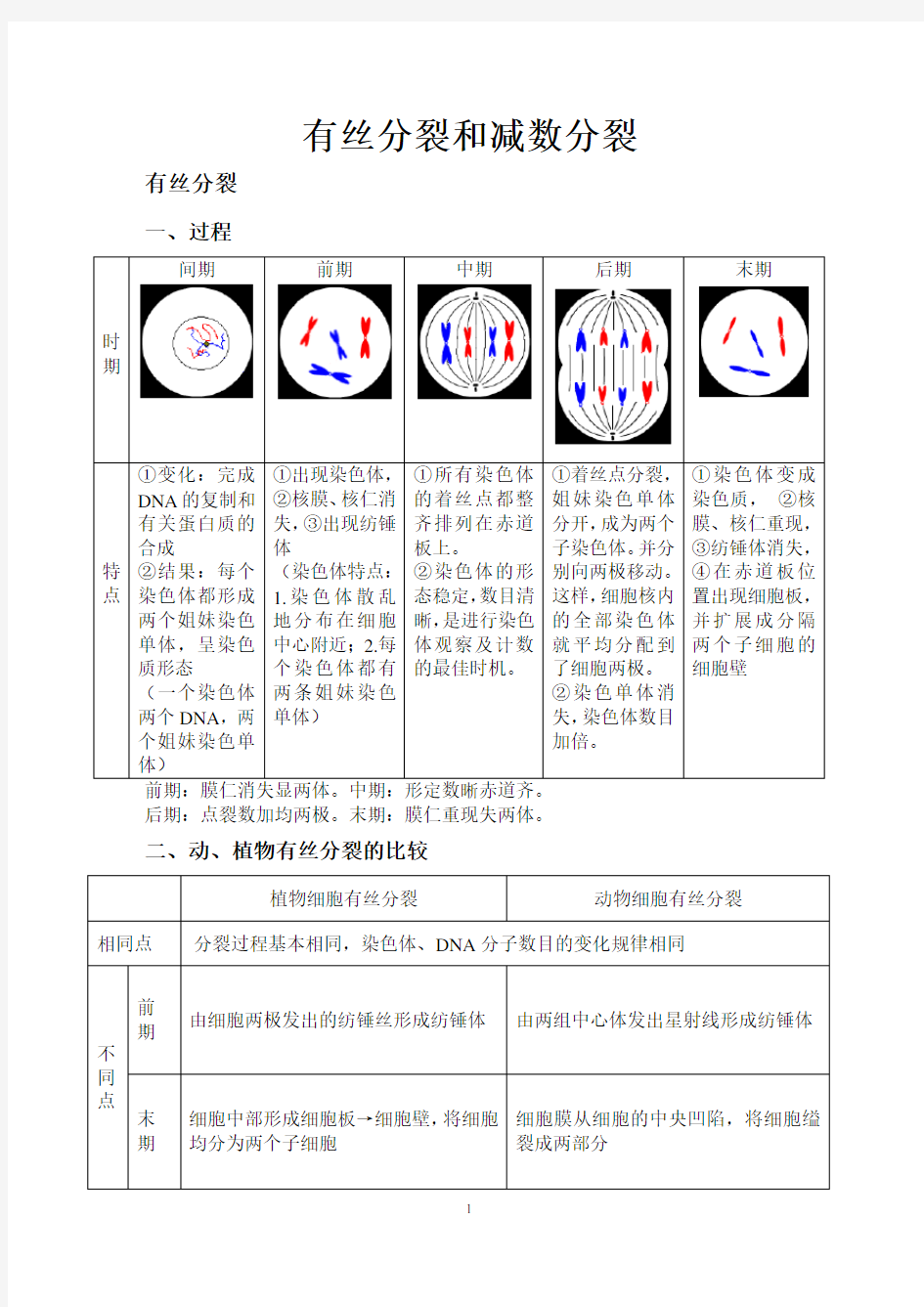 高中生物必修二有丝分裂_减数分裂总结知识点