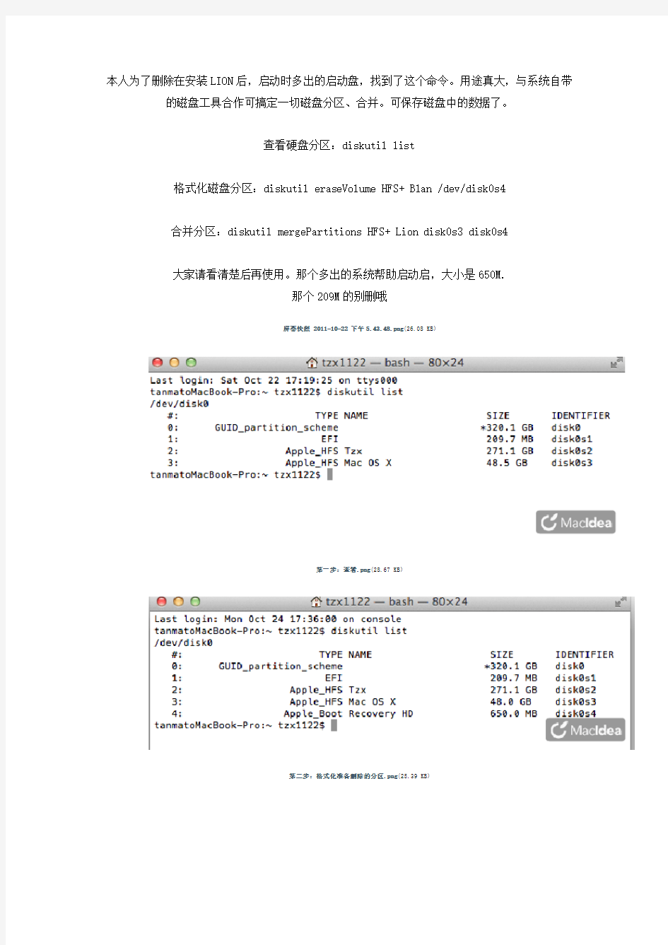 osx 终端格式化命令