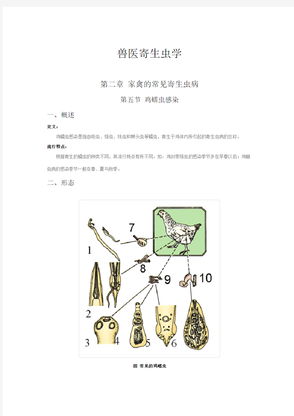 兽医寄生虫学--第二章 家禽的常见寄生虫病 第五节 鸡蠕虫感染