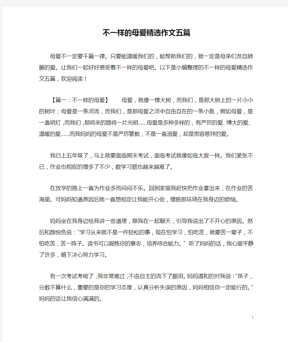 不一样的母爱精选作文五篇