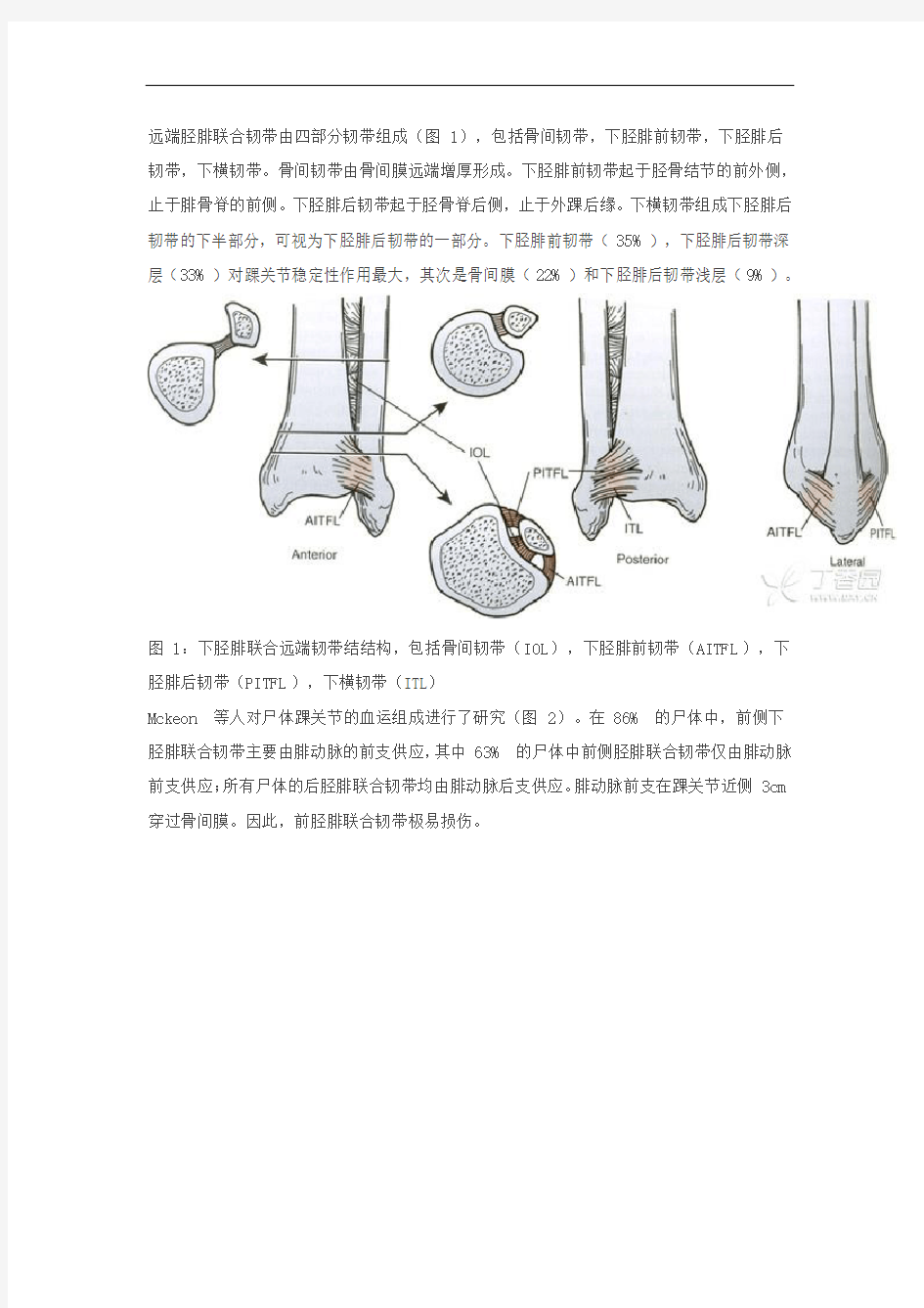 踝关节下胫腓联合韧带损伤详解