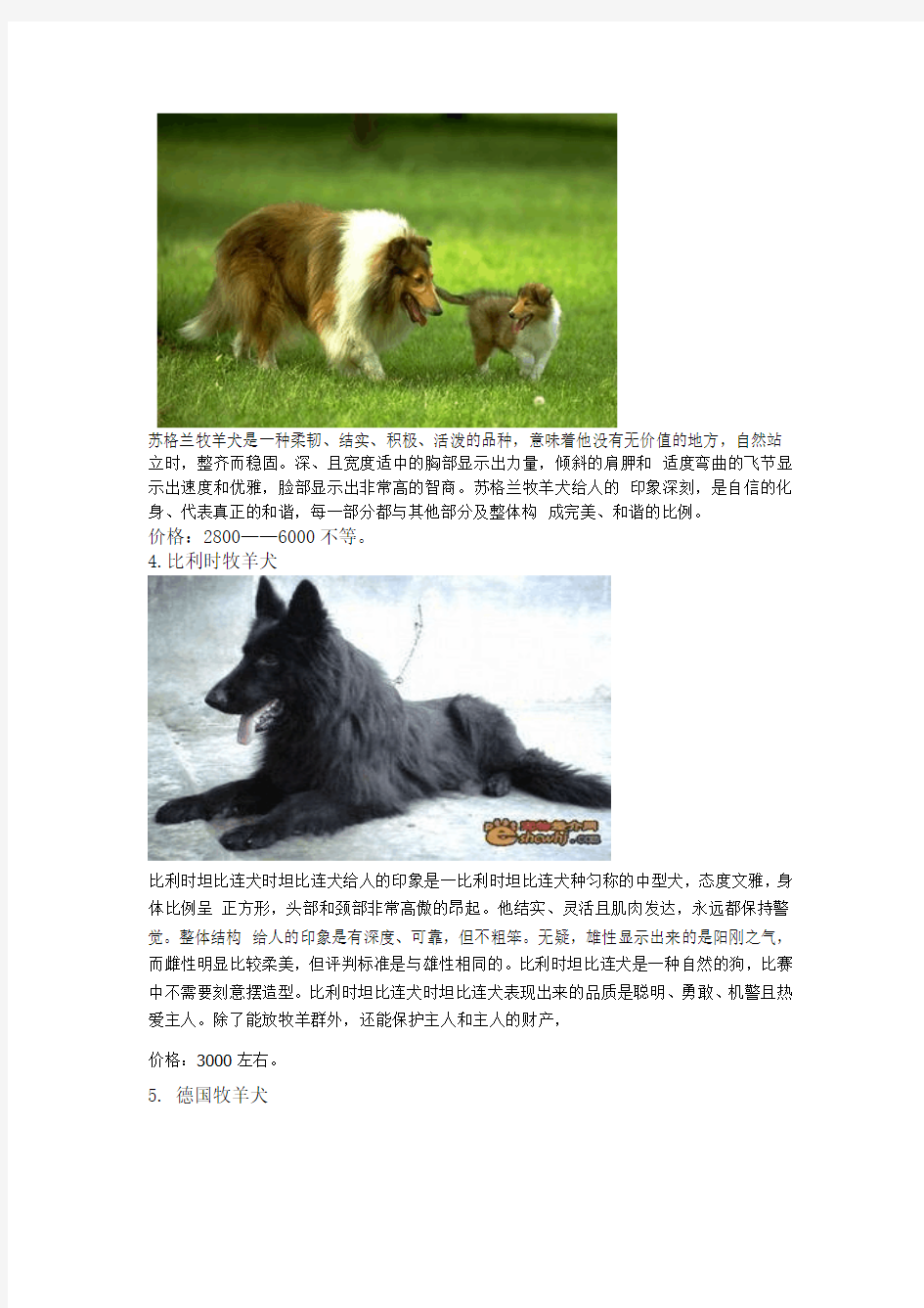 大型犬种类、特点及价格介绍