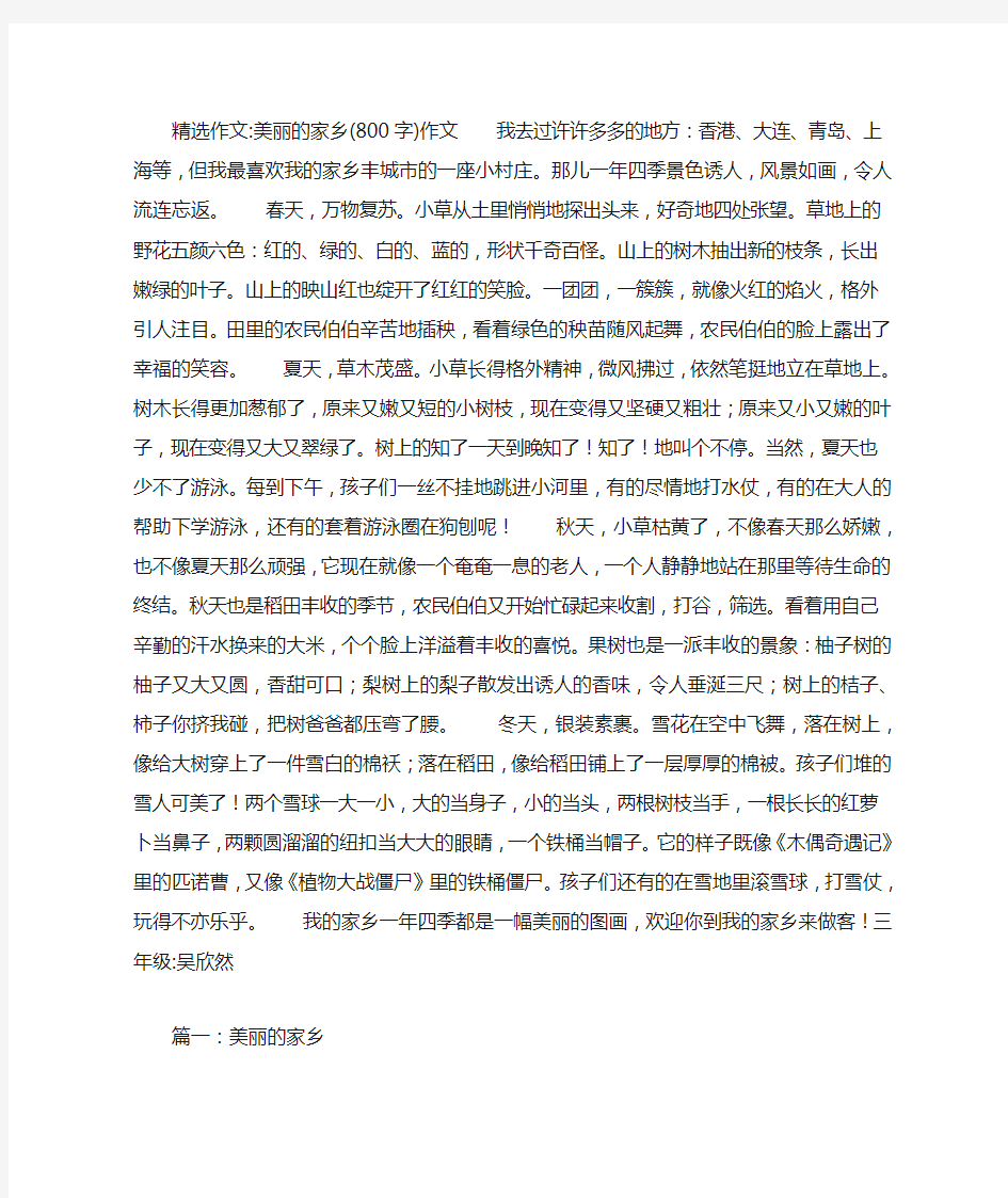 美丽的家乡(800字)作文