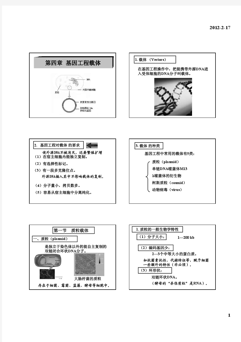 第四章  基因工程载体