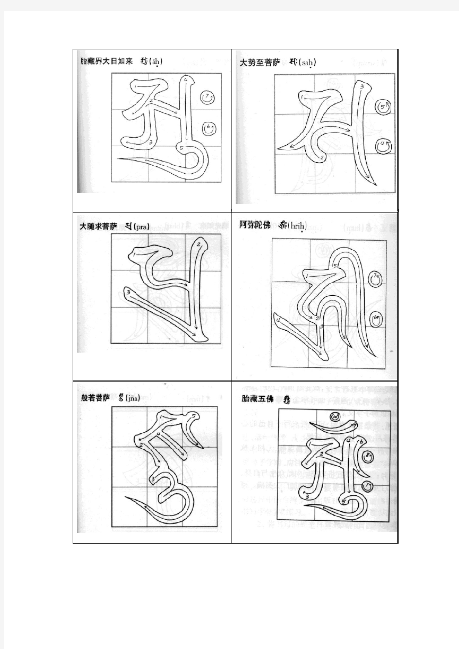 种子字写法