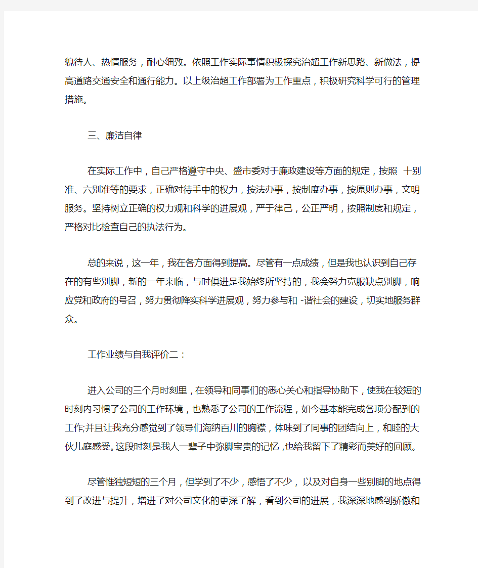 工作业绩与自我评价