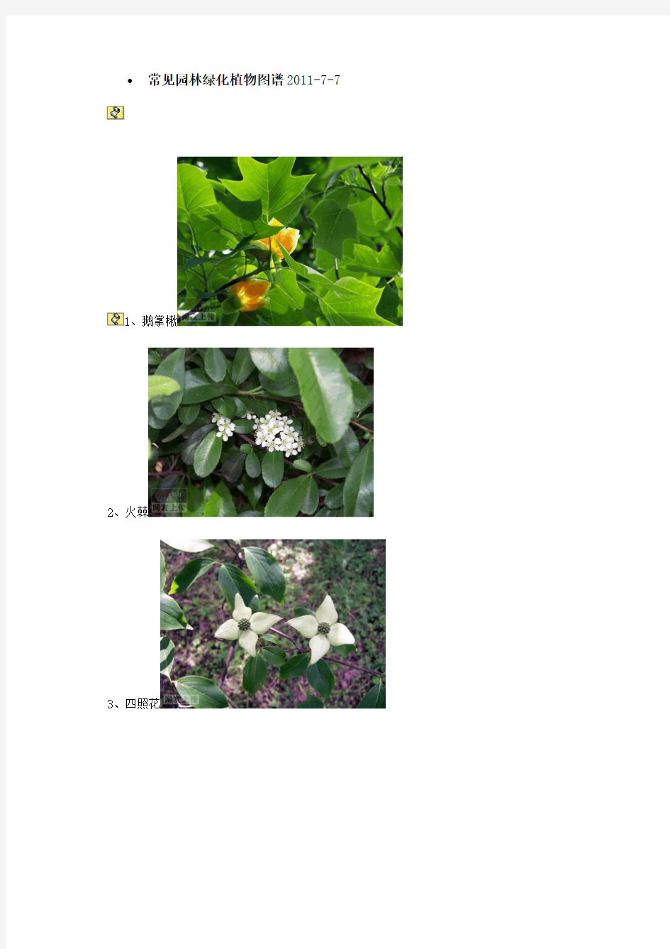 常见园林绿化植物图谱2011