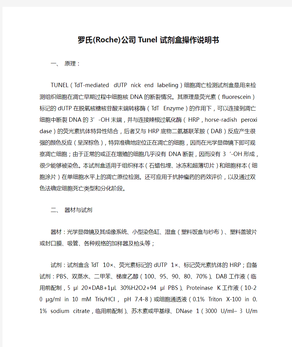 罗氏(Roche)公司Tunel试剂盒操作说明书