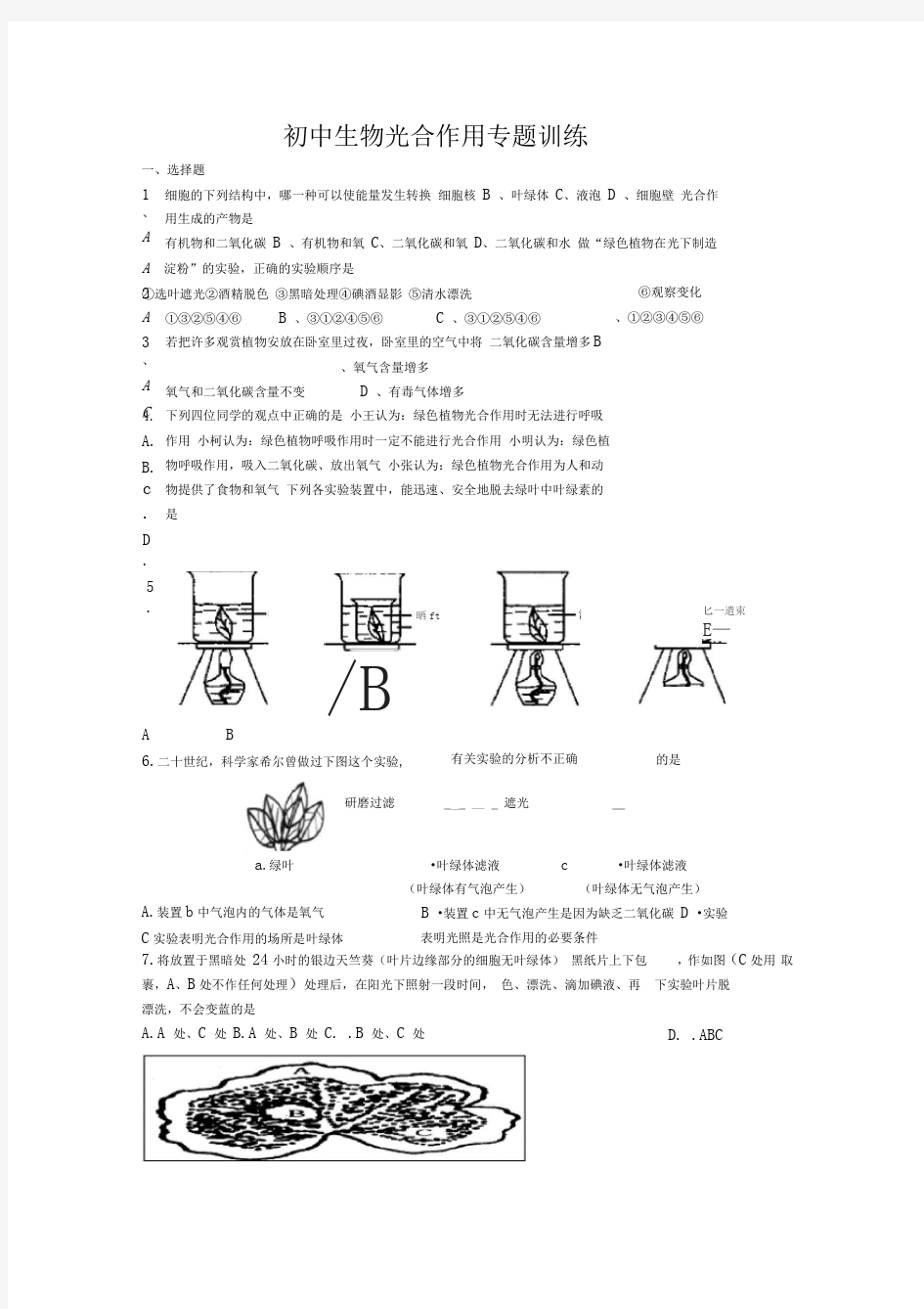 初中生物光合作用专题