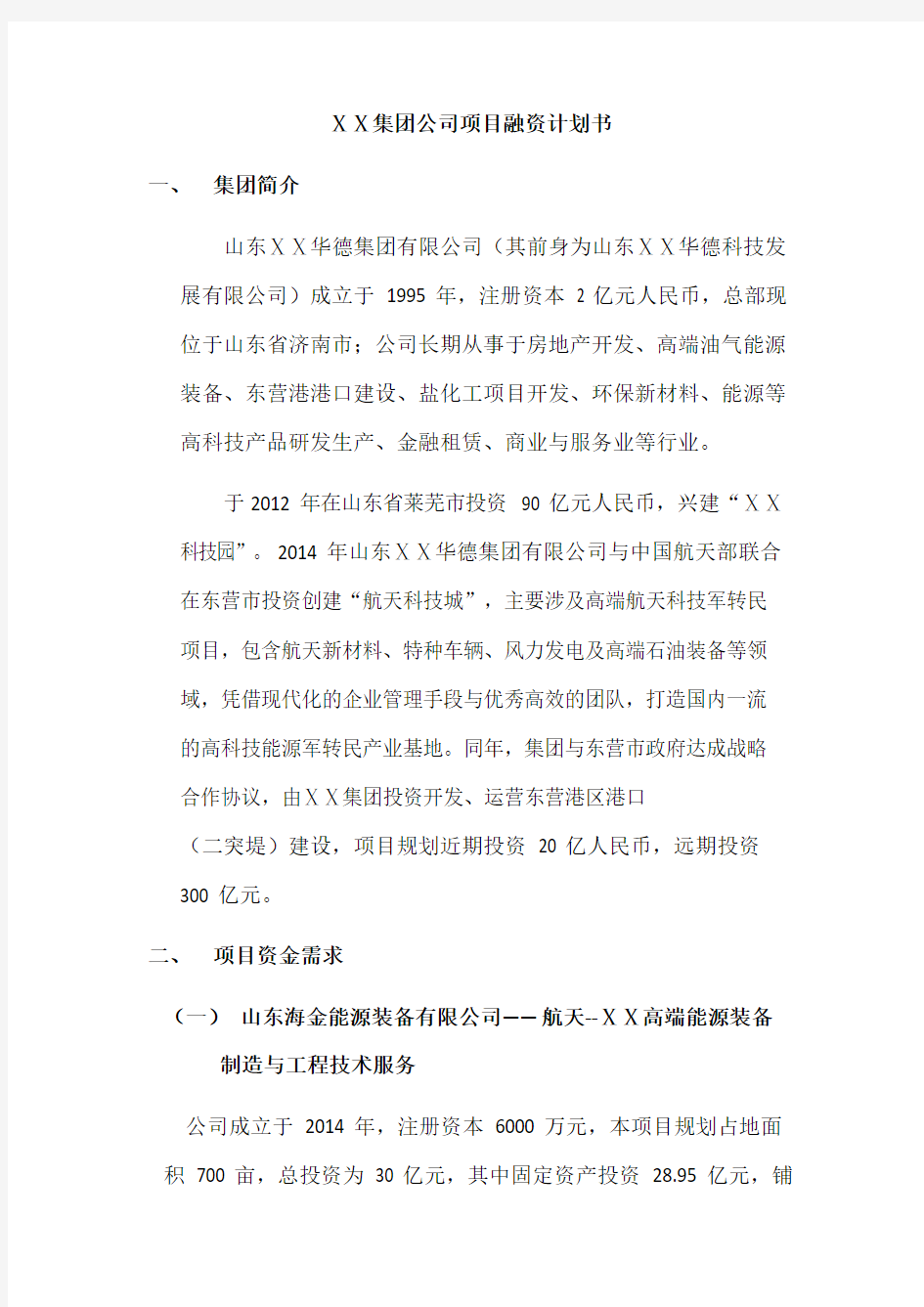 集团公司项目融资项目计划书