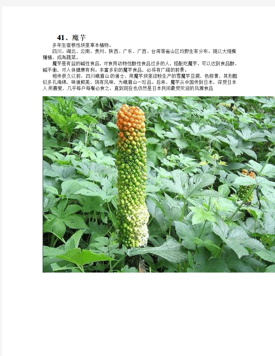 中国常见野菜及其食用3