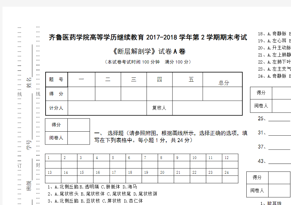 《断层解剖学》结业考试试卷A参考答案及评分标准