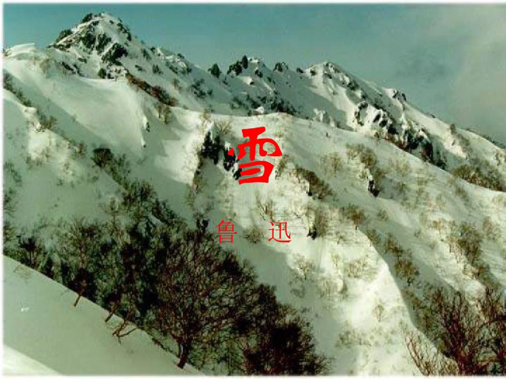 八年级语文雪课件1