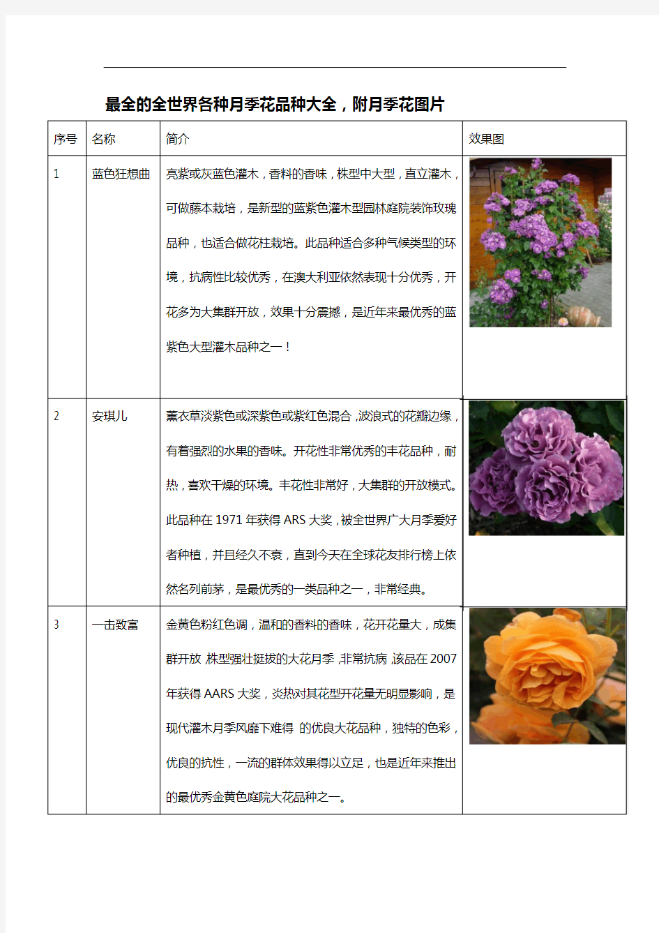 最全的全世界各种月季花品种大全,附月季花图片