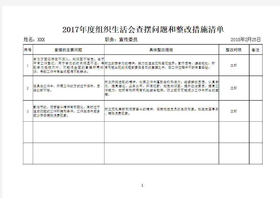 查摆问题和整改措施清单(2)