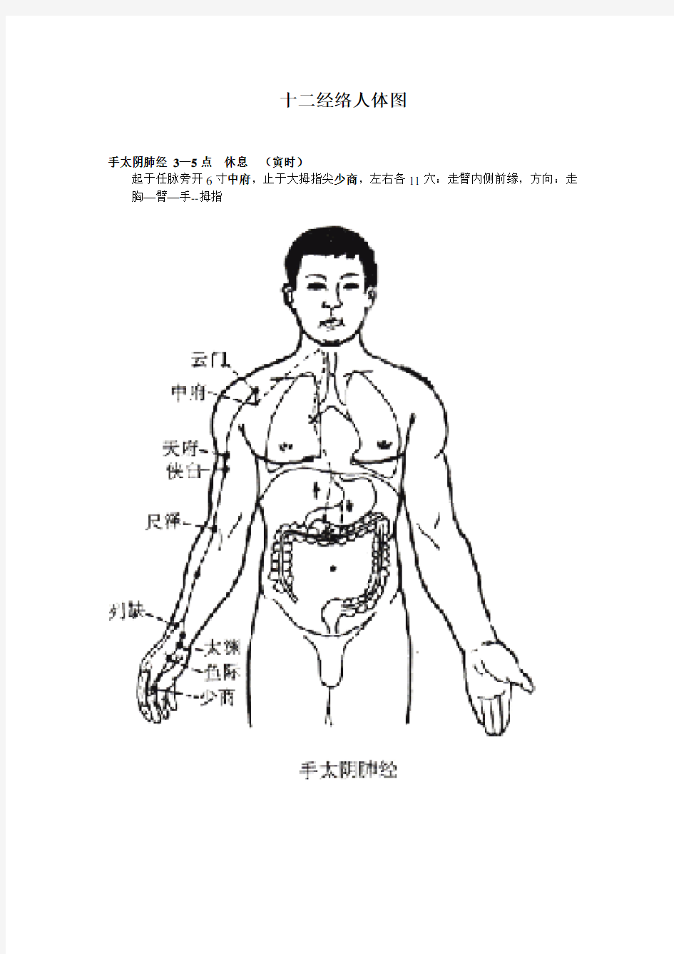 [经络]十二经络人体图