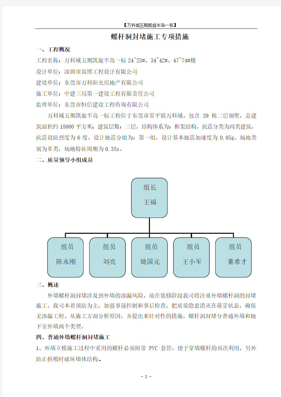 外墙螺杆洞封堵专项方案