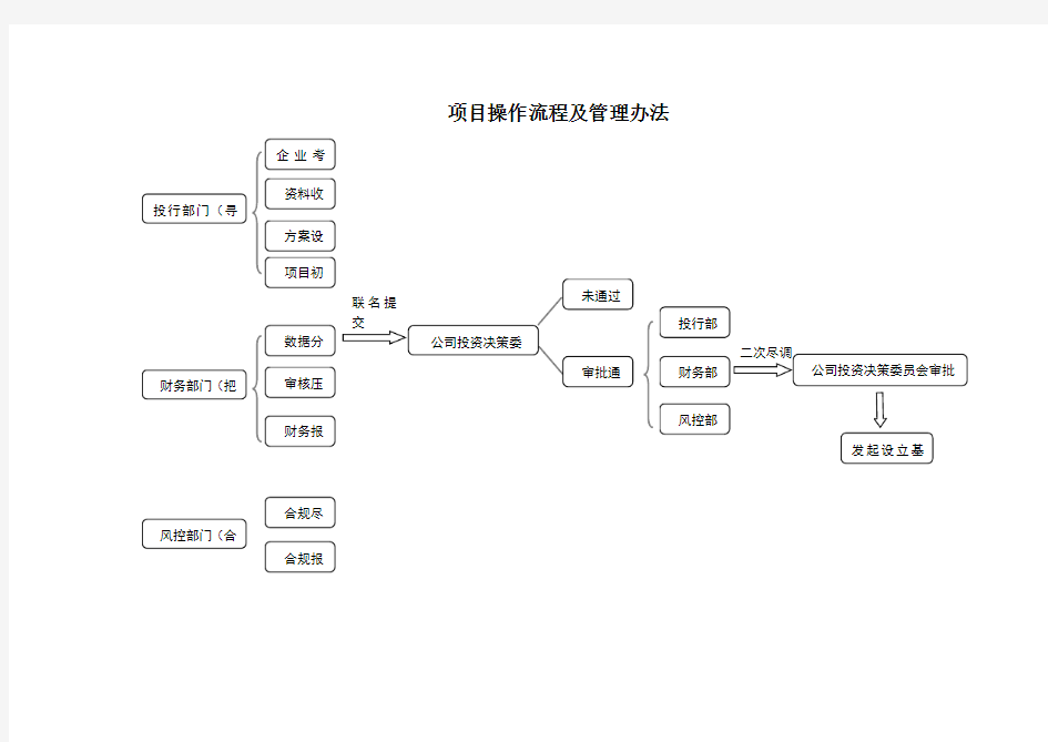 项目操作流程完整版