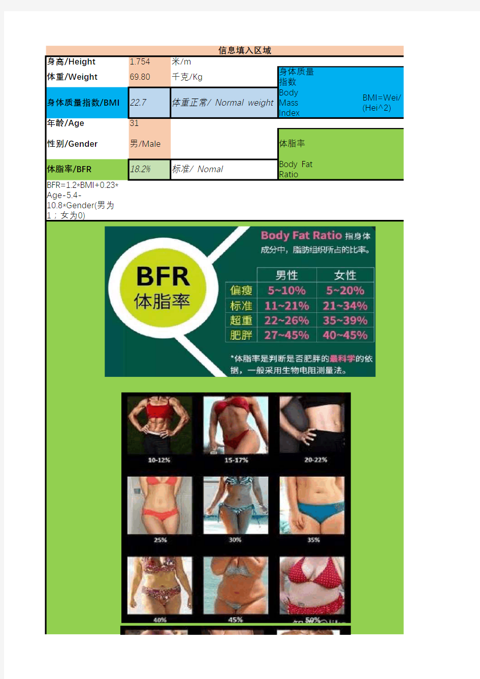 BMI-BFR 身体质量指数与体脂率计算和关系以及健康参照表