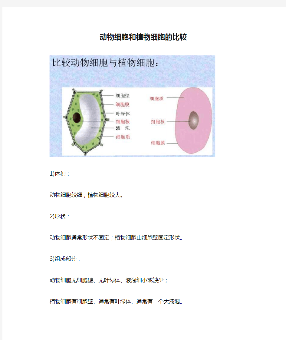 动物细胞和植物细胞的比较