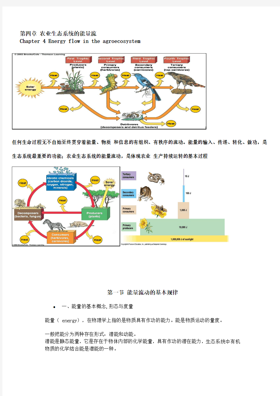 第四章 农业生态系统的能量流