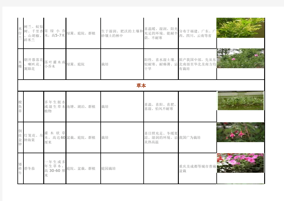 四川园林绿化植物汇总