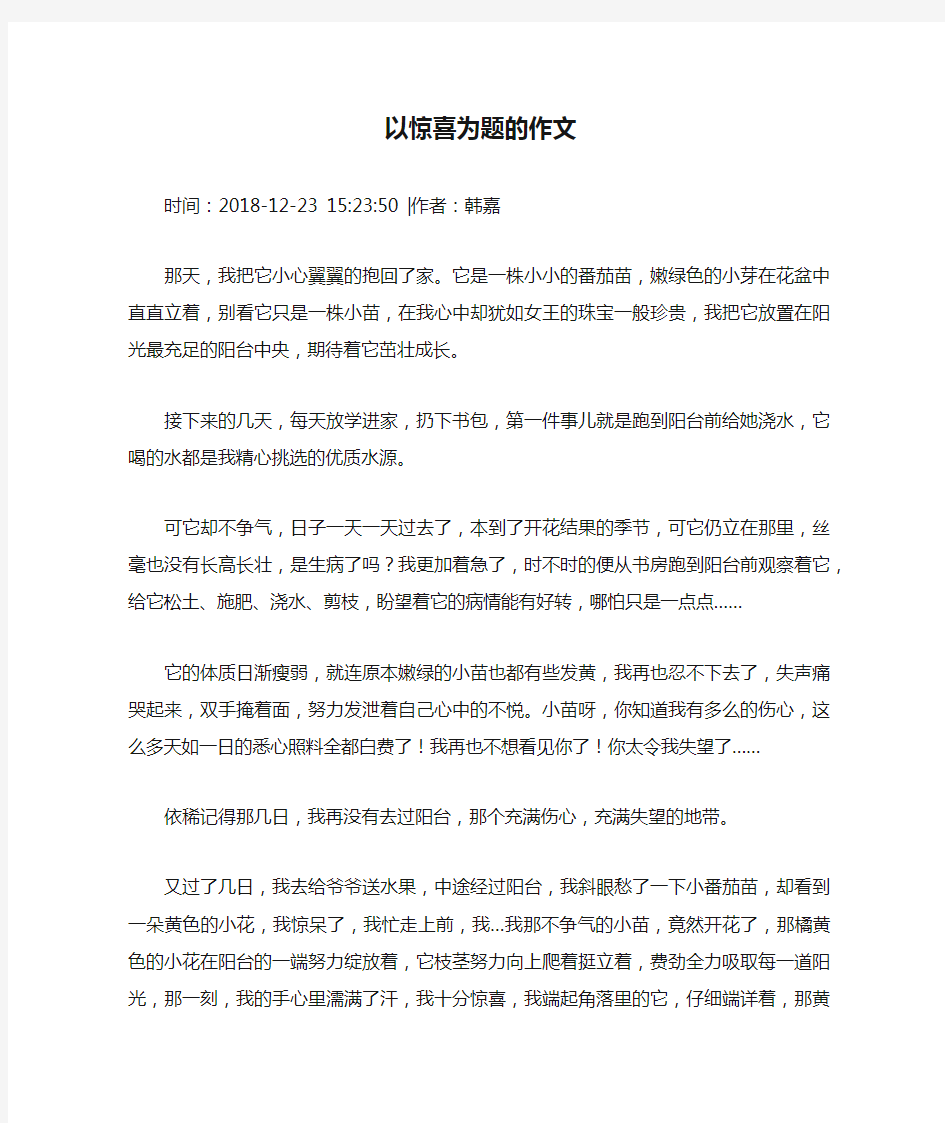 以惊喜为题的作文