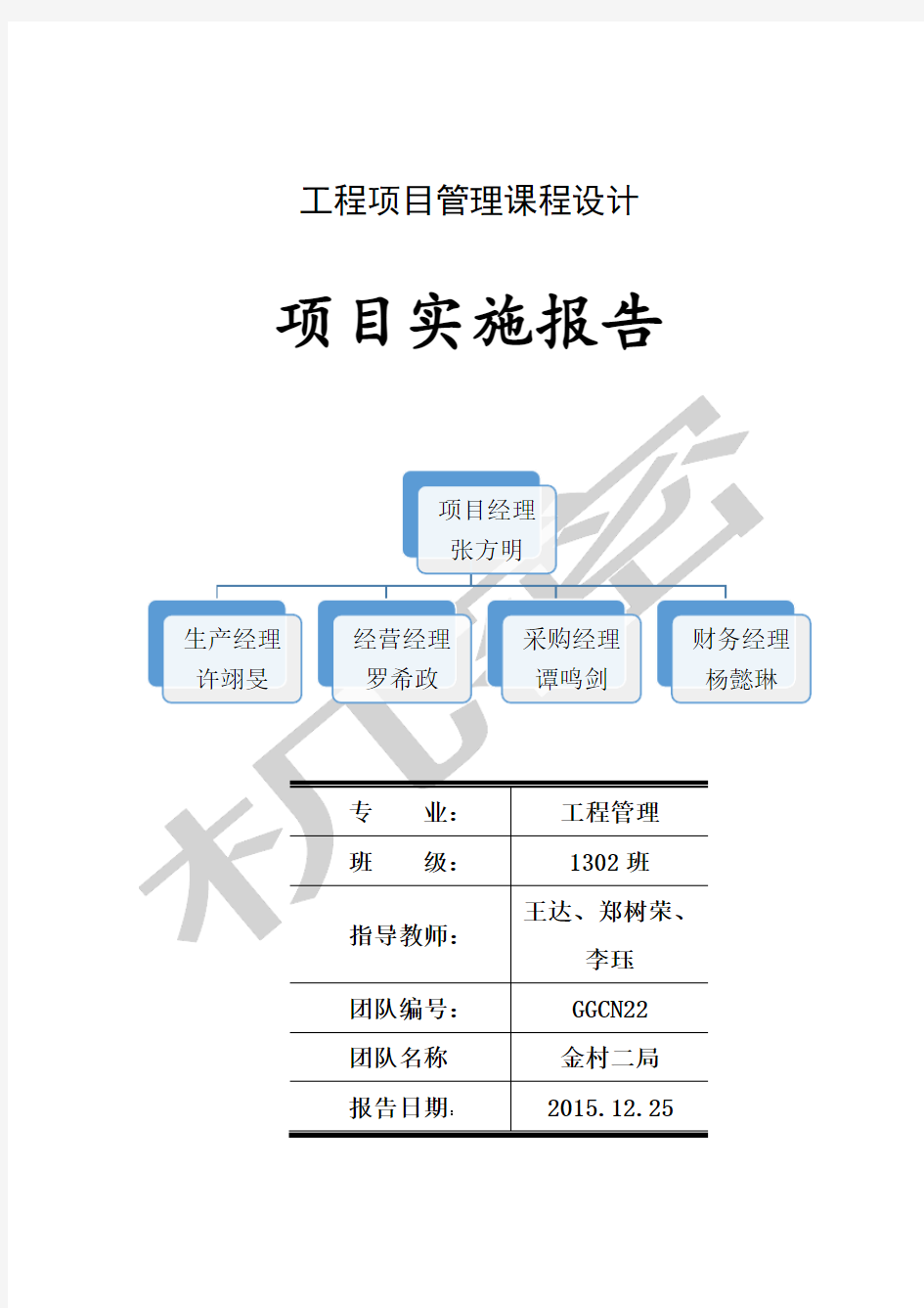 项目实施报告