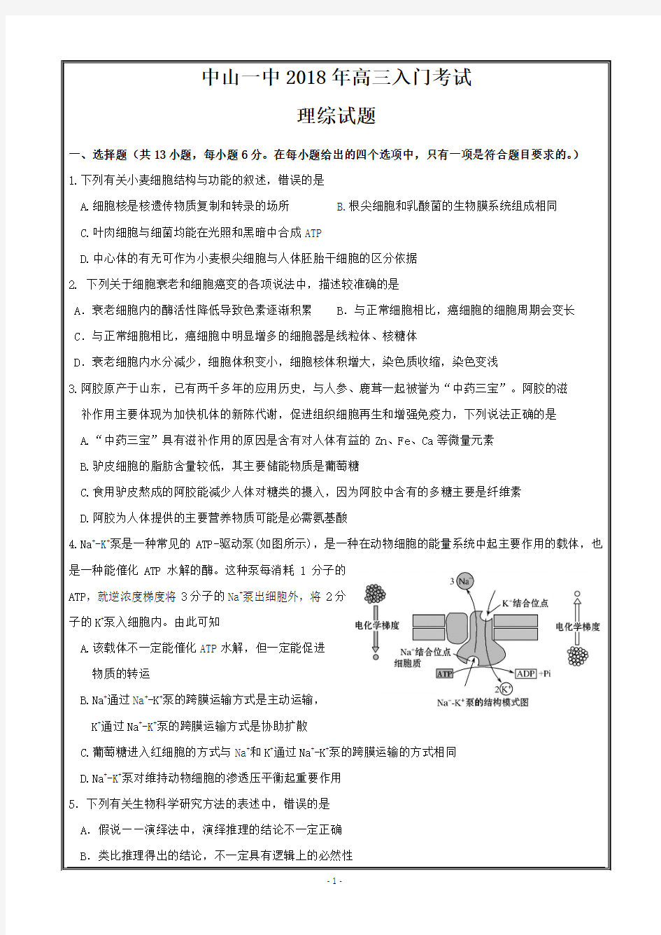 广东省中山市第一中学2019届高三入门考试理科综合试题  -----精校Word打印版