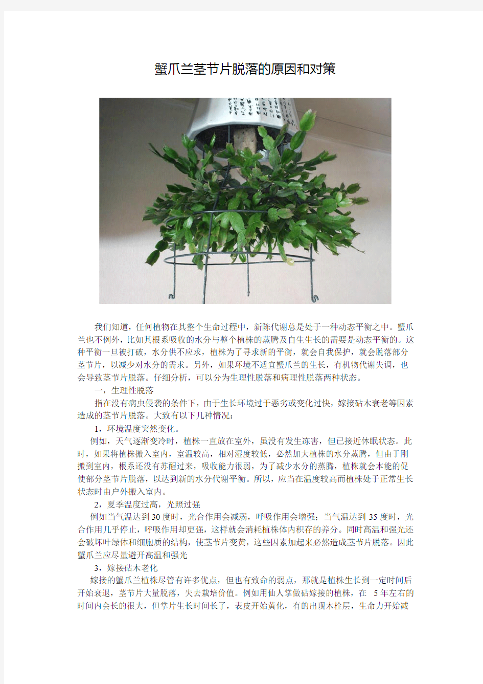 蟹爪兰茎节片脱落的原因和对策