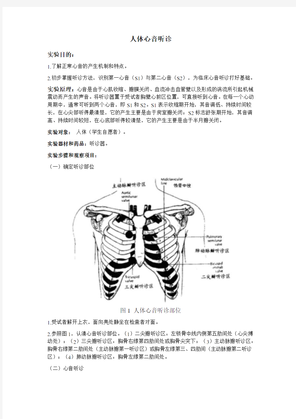 人体心音听诊