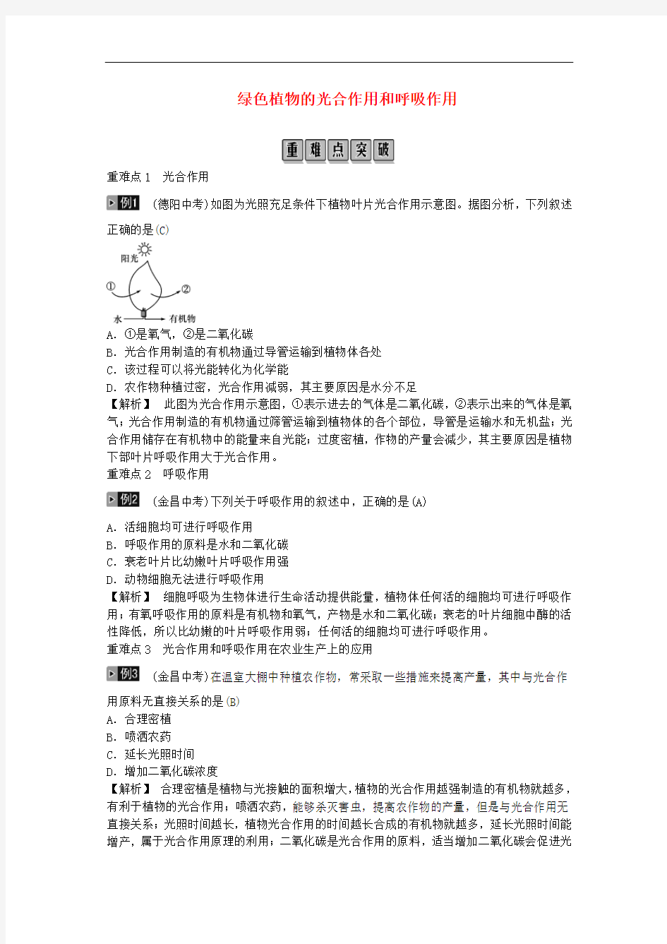 2019年中考生物总复习绿色植物的光合作用和呼吸作用考点及试题解析