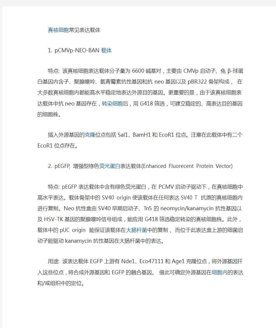 真核细胞常见的表达载体及真核细胞表达外源基因的调控