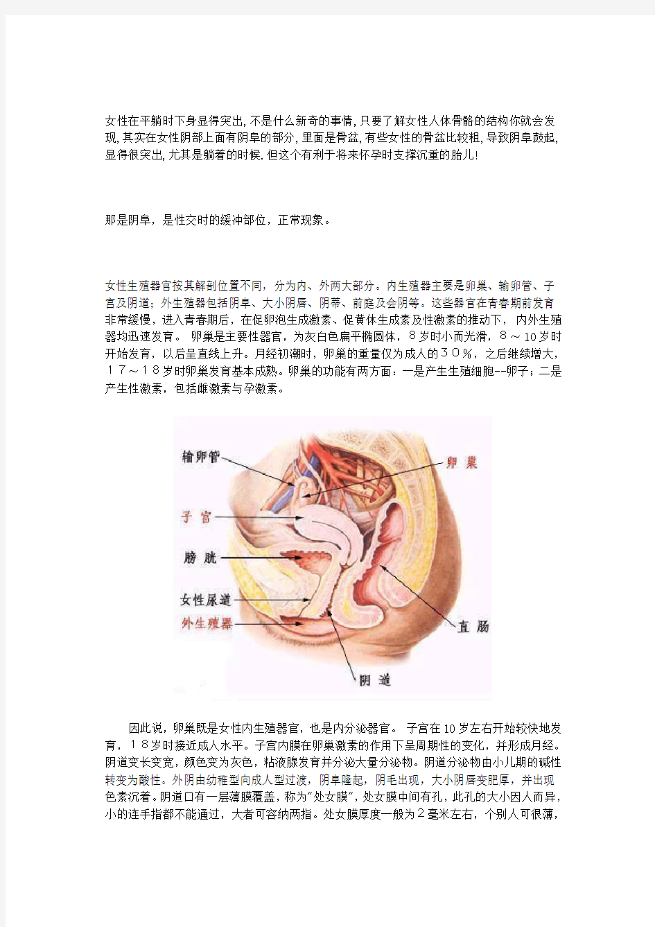 女性生理结构特点