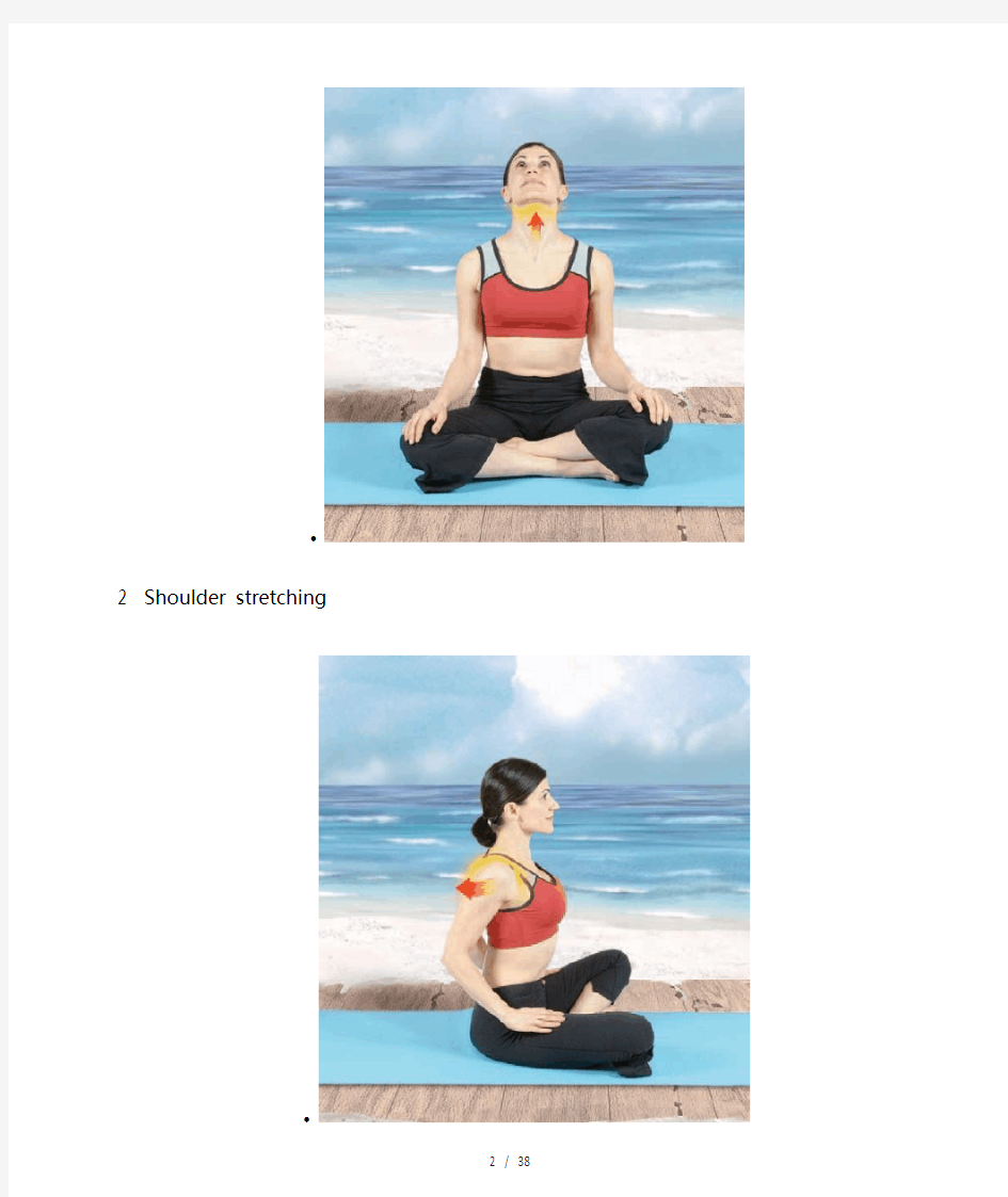 瑜伽初级-15组瑜伽体位热身动作