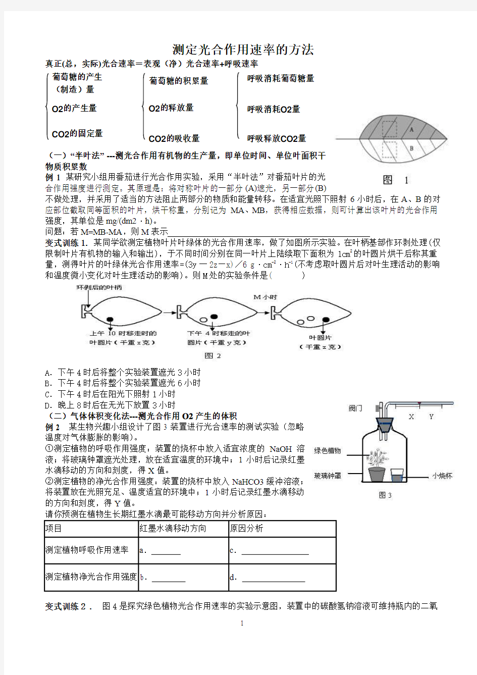 测定光合作用速率的方法