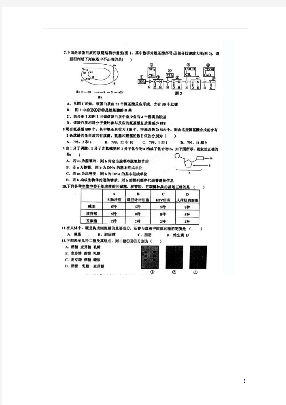 湖北省黄冈市黄梅县第一中学2013-2014学年高一生物上学期期中试题