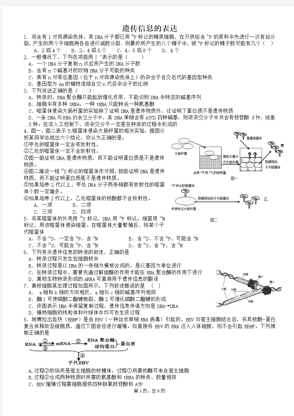 高考生物遗传信息的表达专项练习