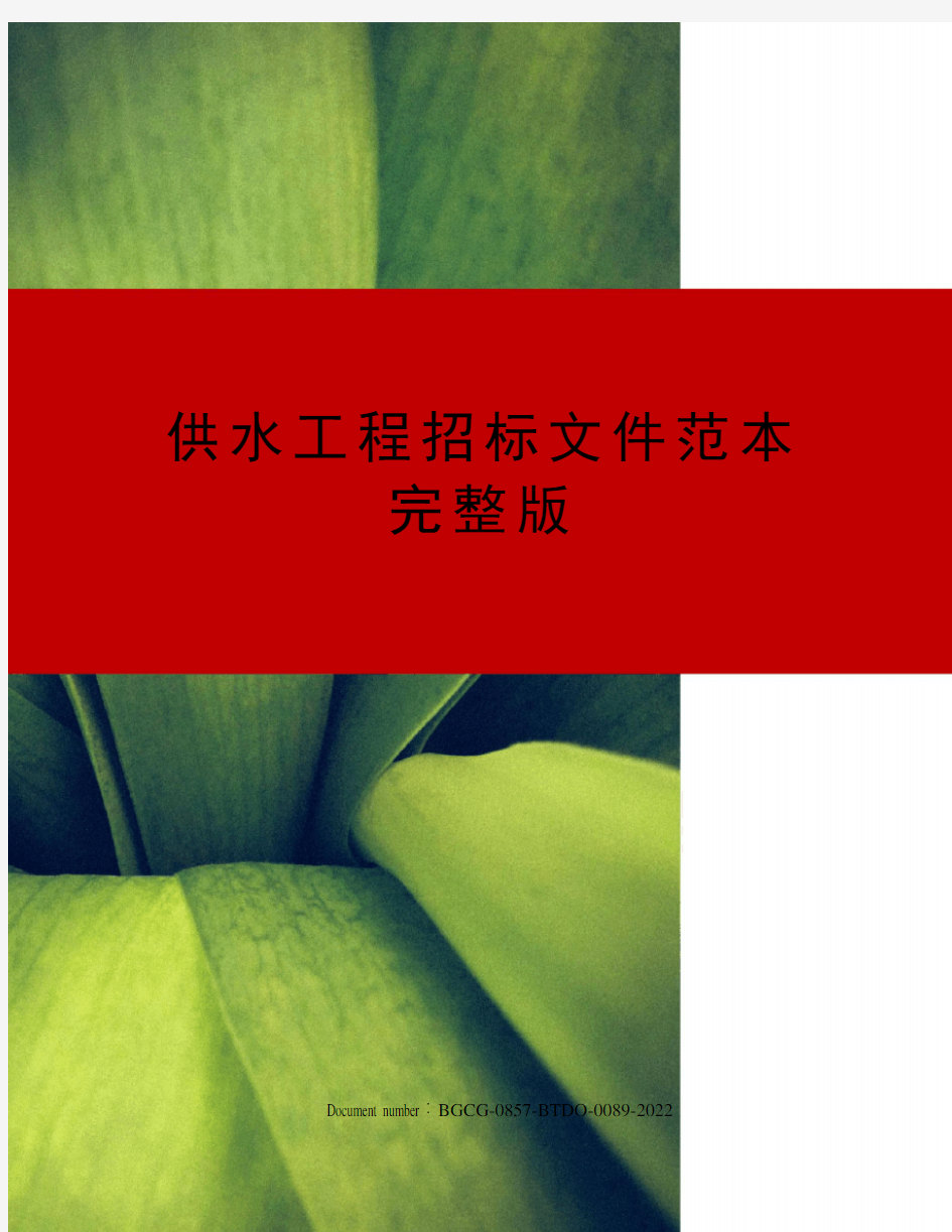 供水工程招标文件范本完整版