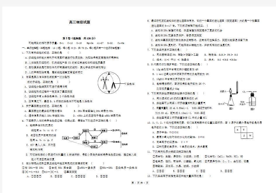 高三1月月考理综试题 Word版含答案