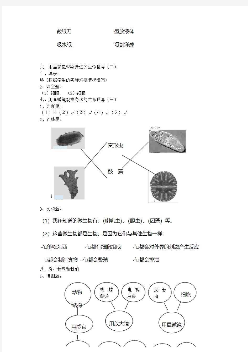 最新小学科学作业本参考答案(六下)