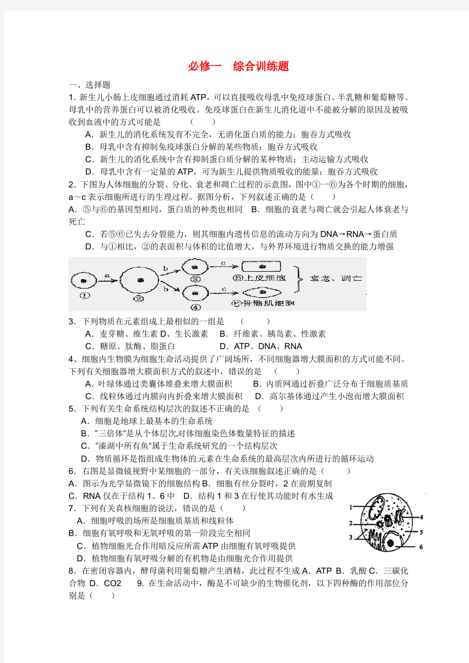 高三生物 全部测试题