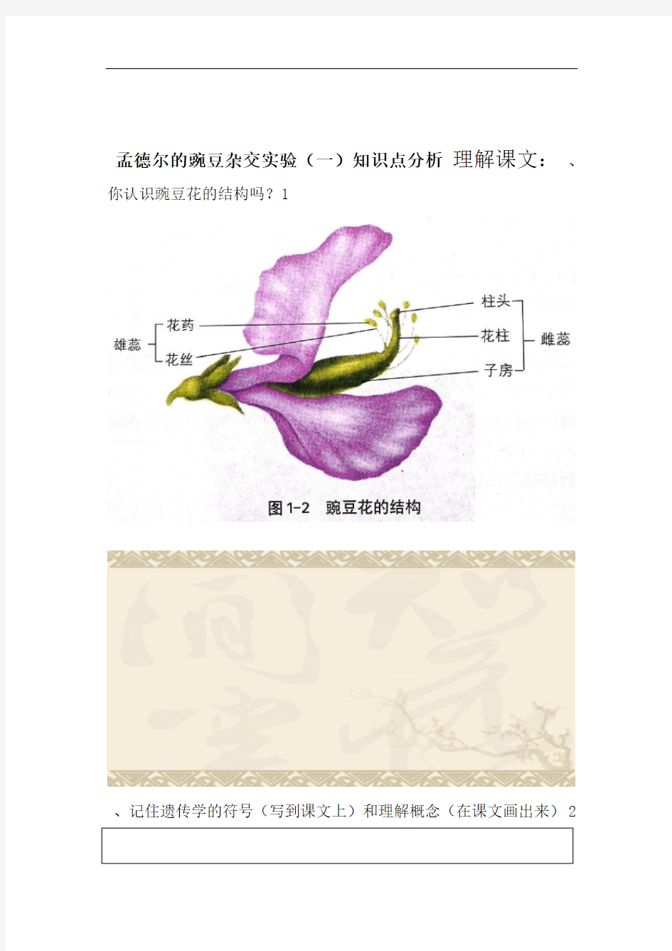 word完整版孟德尔的豌豆杂交实验一知识点分析