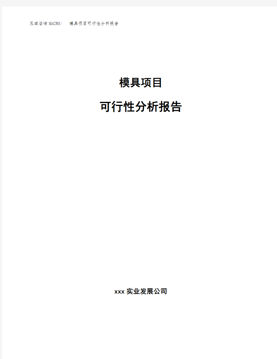 模具项目可行性分析报告