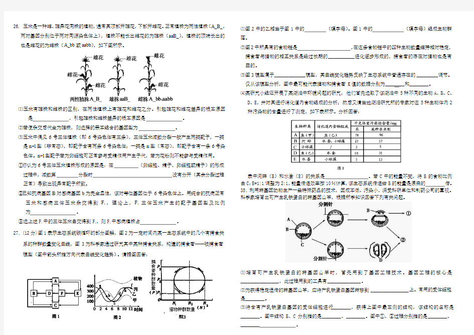 高三理综生物部分13