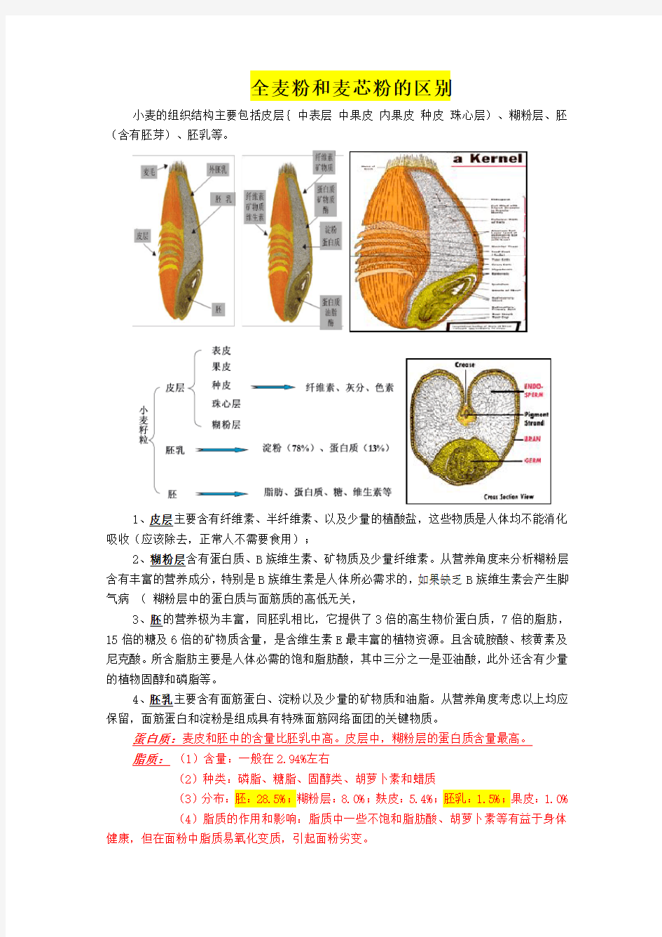 全麦粉和麦芯粉的区别