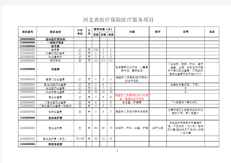 2013河北省医疗保险诊疗项目