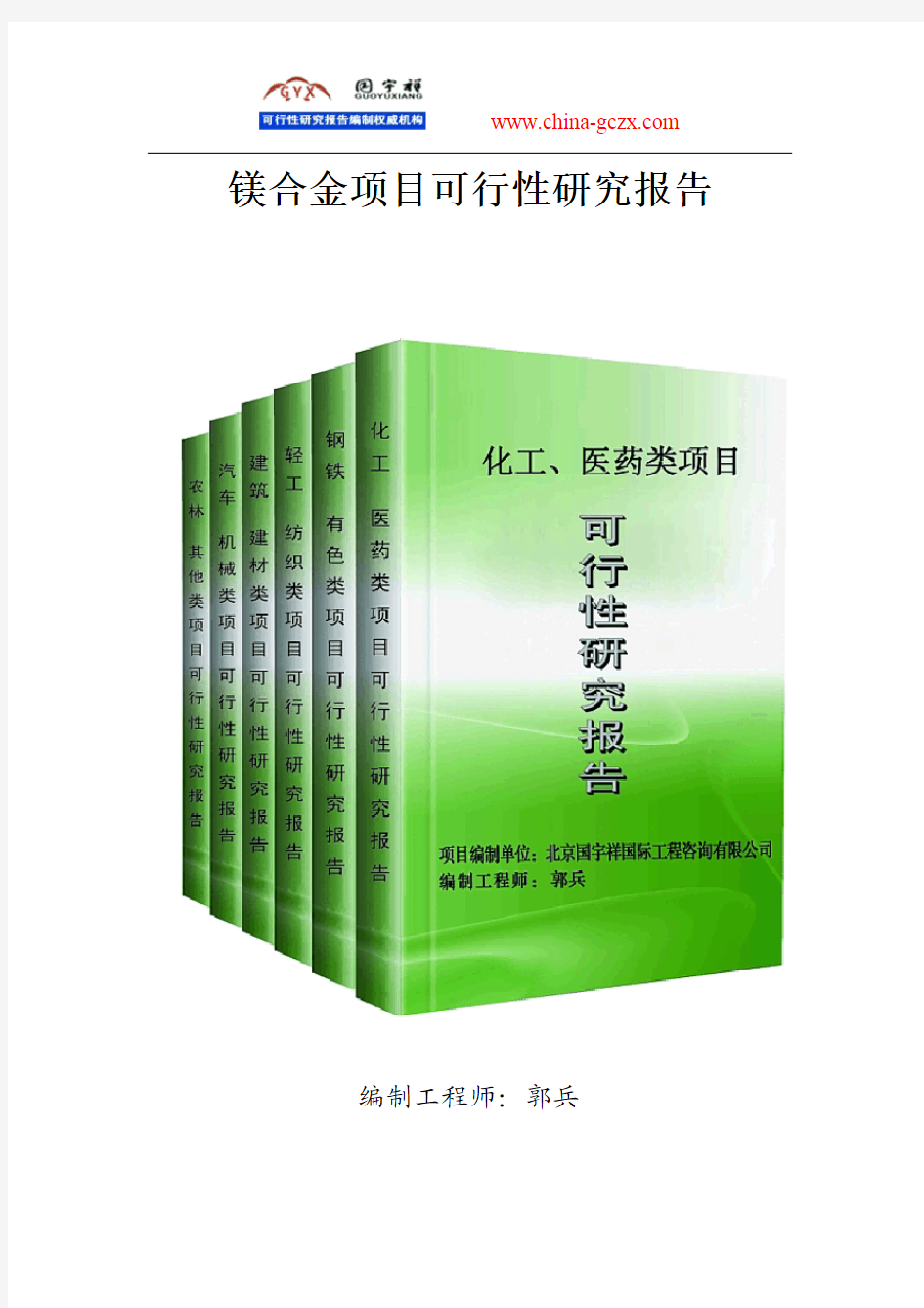 镁合金项目可行性研究报告